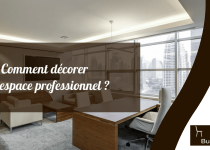 decor bureau professionnel