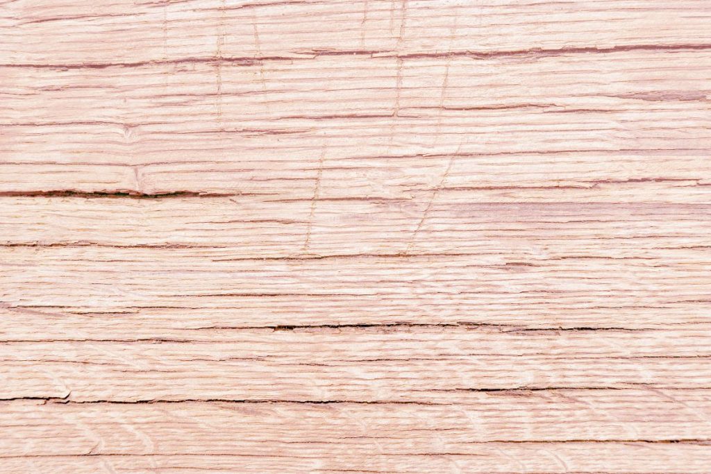texture du bois de chène